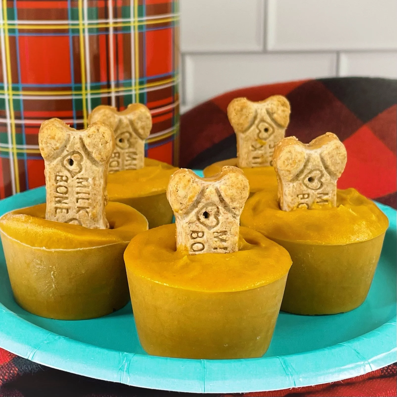 Homemade Pooch Pops recipe